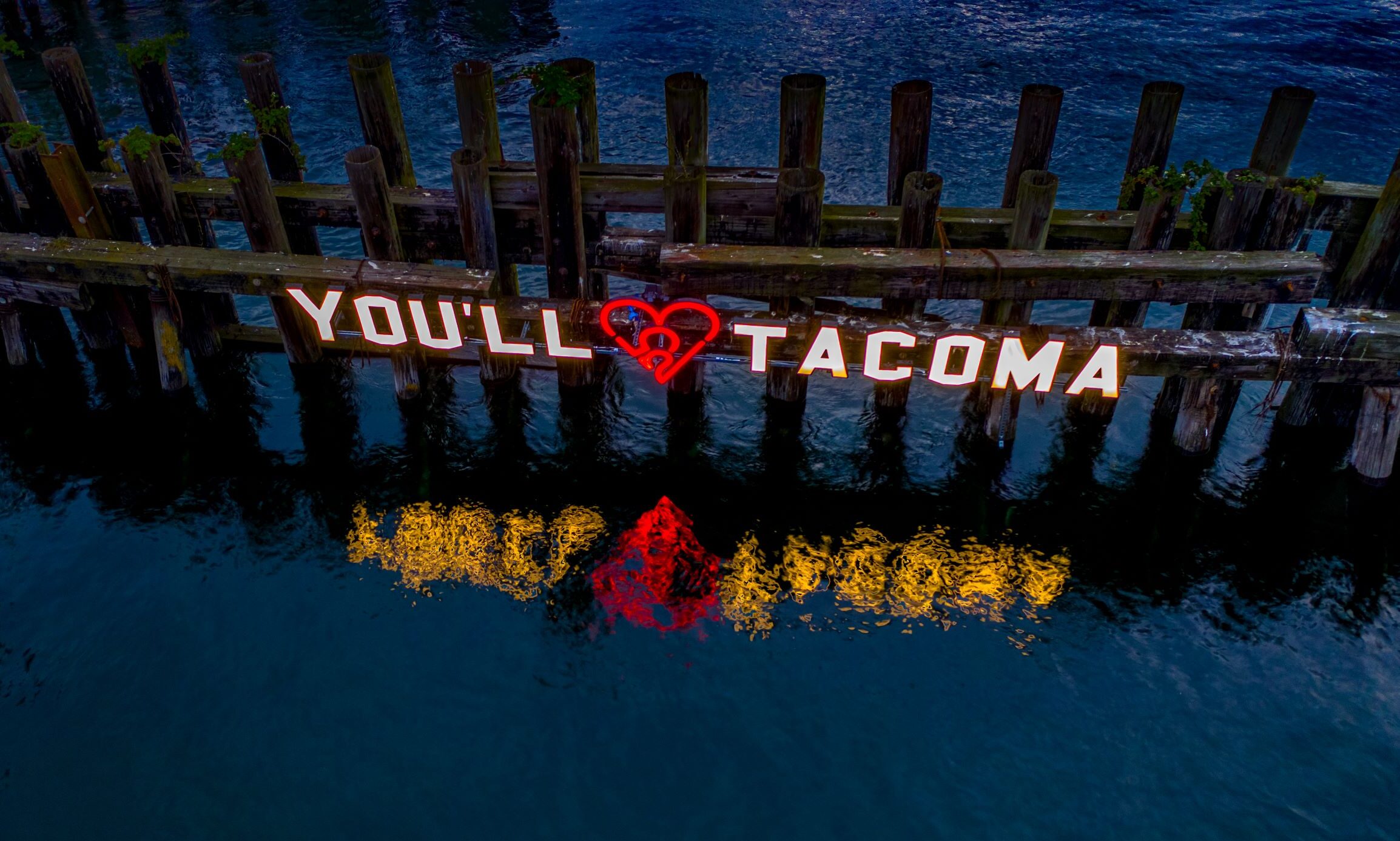 you'll love tacoma sign